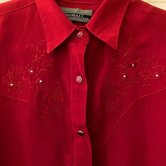 Western Style Blouse with Embroidered Accents by Daniali - Picture 5 of 8